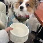 ロッティ カフェ ツクバ - 