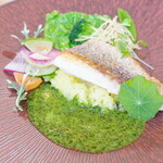 ボン・ヴィヴァン - 