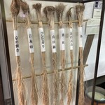 月桂冠 大倉記念館 - 