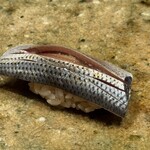 神田錦町 鮨たか晴 - 