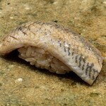 神田錦町 鮨たか晴 - 