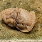 神田錦町 鮨たか晴 - 