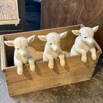 斉藤ファーム - 