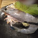 ロッカクエビノ - 