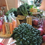 ビブラ ビブレ - 