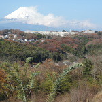 ビブラ ビブレ - 