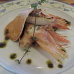 ビブラ ビブレ - 