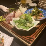 たもいやんせ - 