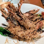 クインチチェントラーレ - 