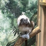 中華　ちゃお - 