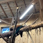 中華　ちゃお - 