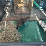 中華　ちゃお - 