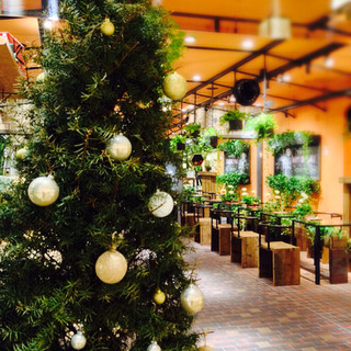 青山フラワーマーケットティーハウス_2