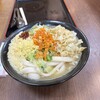 吉田のうどん とがわ
