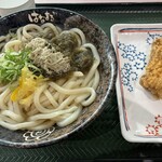 はなまるうどん モラージュ柏店 - 