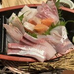 北海道さかな一途 直営魚問屋 - 