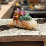 熟成鮨利他 難波 心斎橋 - 