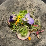 WINE食堂 緒乃 - 