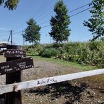 あるうのぱいん - 