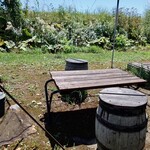 あるうのぱいん - 