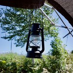 あるうのぱいん - 