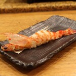 にぎり鮨 一五〇 - 車エビ