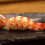 にぎり鮨 一五〇 - 車エビ