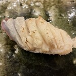 鮨桂太 - ホッキガイ