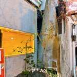 西銀 ぼたん - 