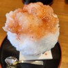 江口だんご 摂田屋店