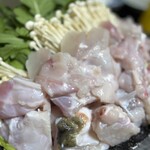 ふぐ政 明石店 - 