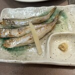 コロポックル - ししゃも