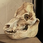 バール ア フロマージュ スーヴォワル - 