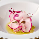 クイントカント - 