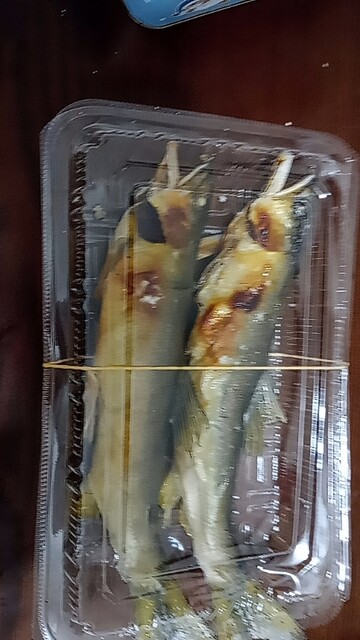 ヤナ茶屋もがみ &ndash; 瀬見温泉の本格そば｜山形・最上町の隠れ家