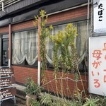 サリサリカリー - 