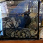 貝と魚シェルハラ - 貝の生け簀