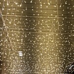 スターバックスコーヒー - 