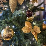 レストラン とと - 