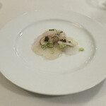 ドンナセルバティカ - 