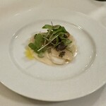 ドンナセルバティカ - 