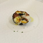 ドンナセルバティカ - 