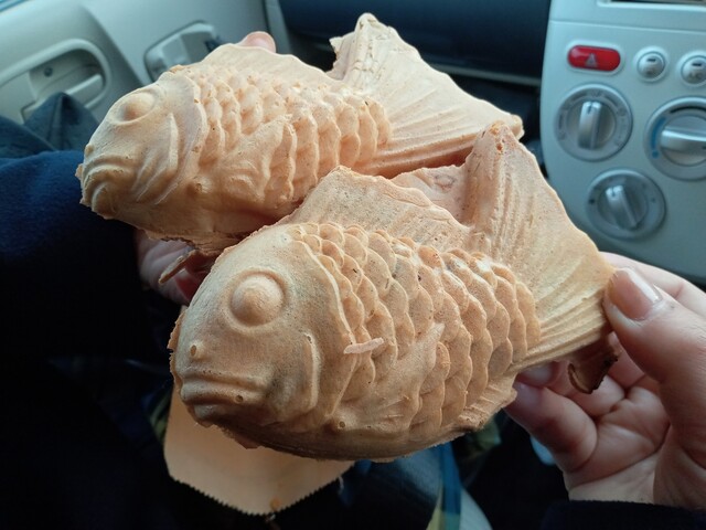 専用ページ　たい焼き丼様 たいやき様専用】 専用ページ たい焼き丼様 専用ページ たい焼き丼様