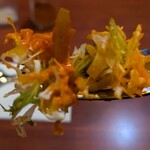 ディープジョティ - 