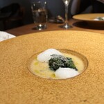 MOTORA  - 