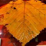 草喰 なかひがし - 