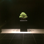 ザ・リッツ・カールトン京都 - この横に宿泊客用のエレベーター。