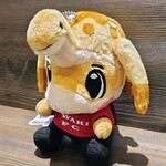 創作イタリアン Gemelli - 