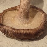 熱海銀座おさかな食堂 - 