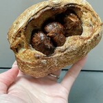 ブーランジェリー ボッチラ - 